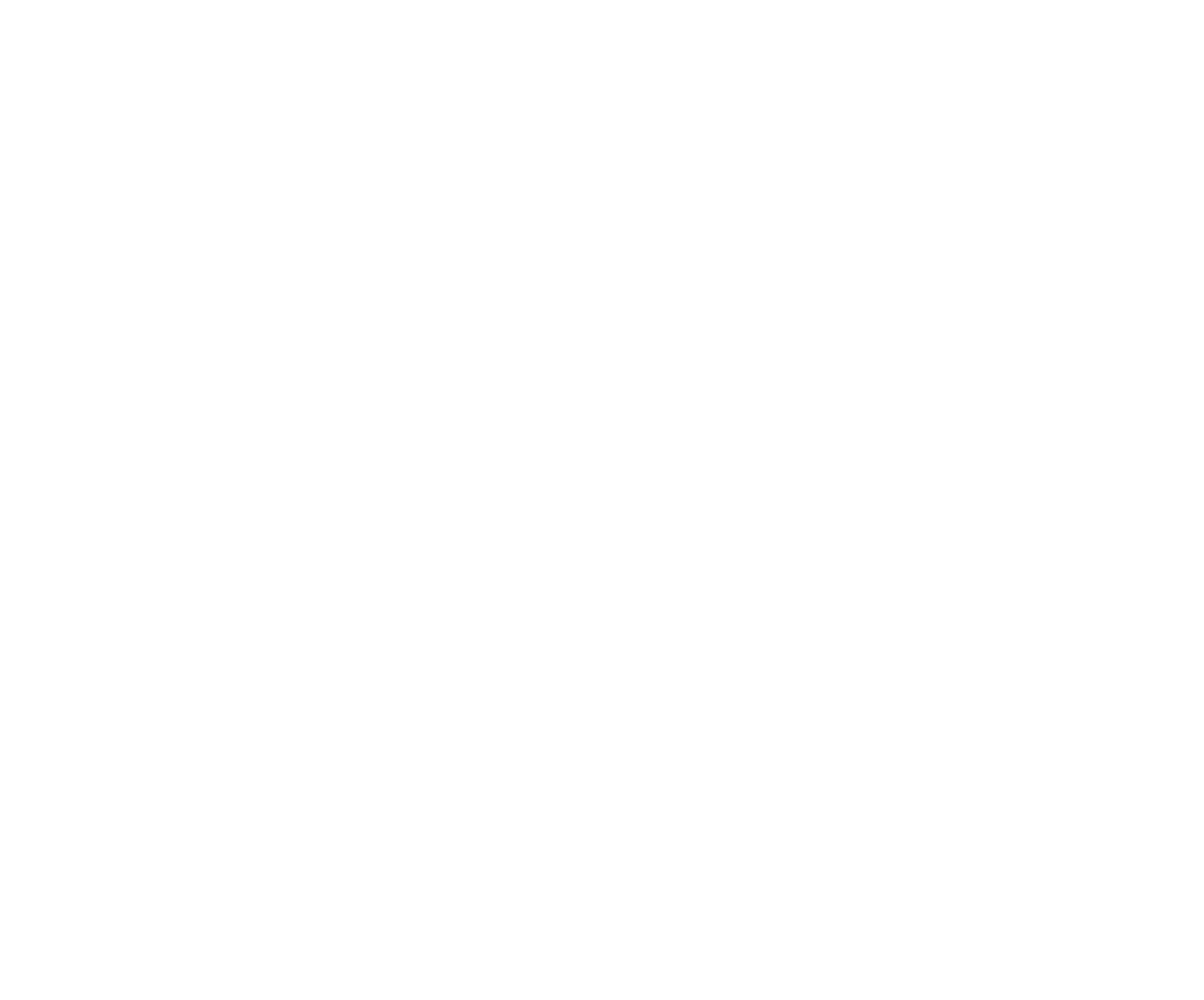 Barkly Rare Earths Ltd footer logo